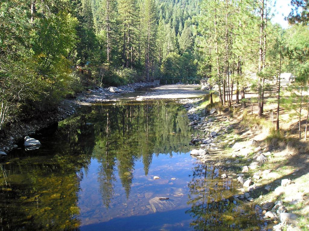 Yosemite Lakes Cabin 40 Harden Flat Экстерьер фото